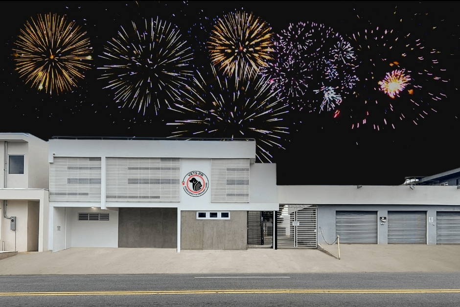 Fuegos Artificiales y Patitas: Cómo Mantener a Tus Mascotas Seguras Este 4 de Julio en Puerto Rico