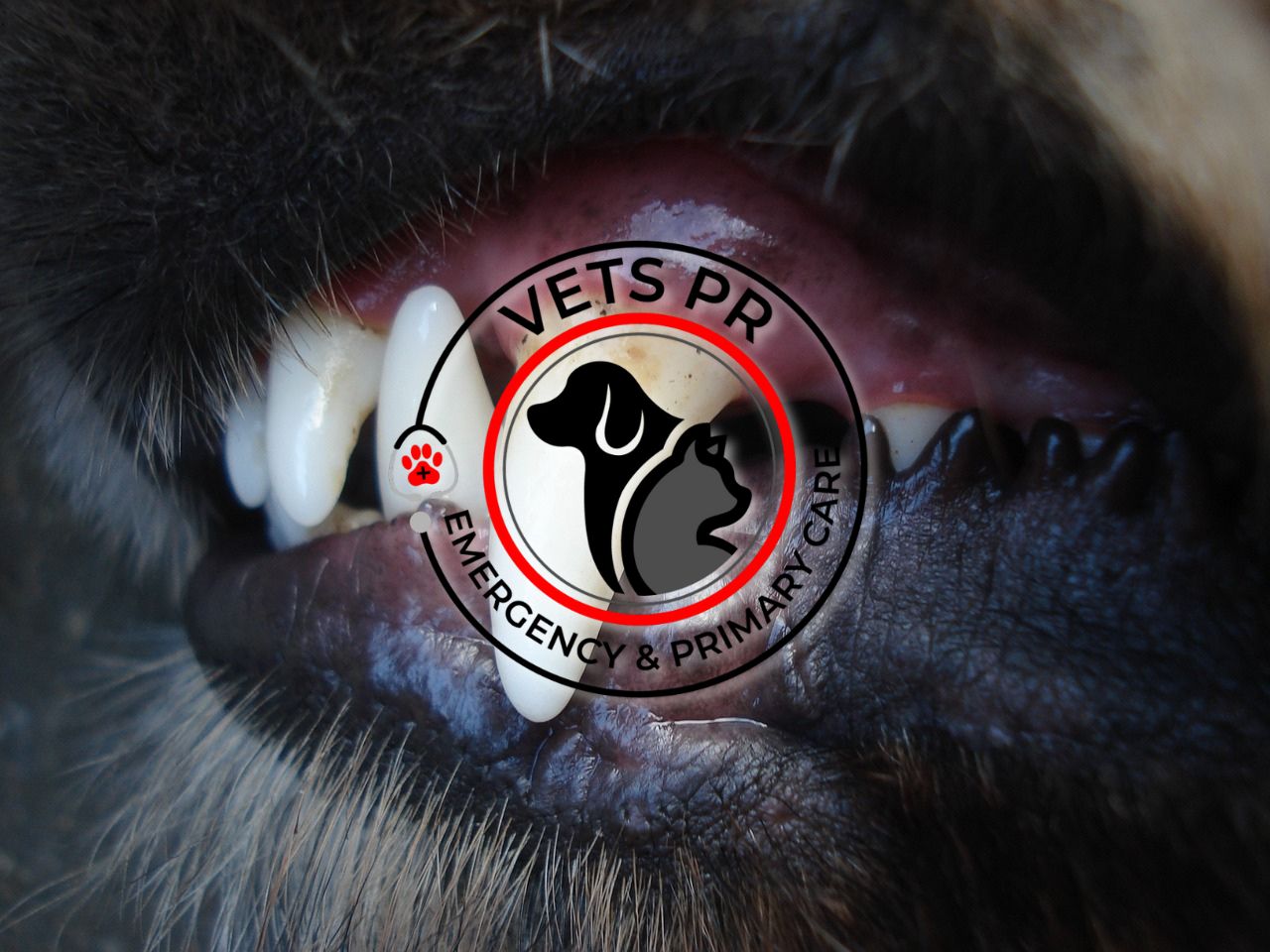 Retrasar la atención dental puede provocar complicaciones graves y potencialmente mortales