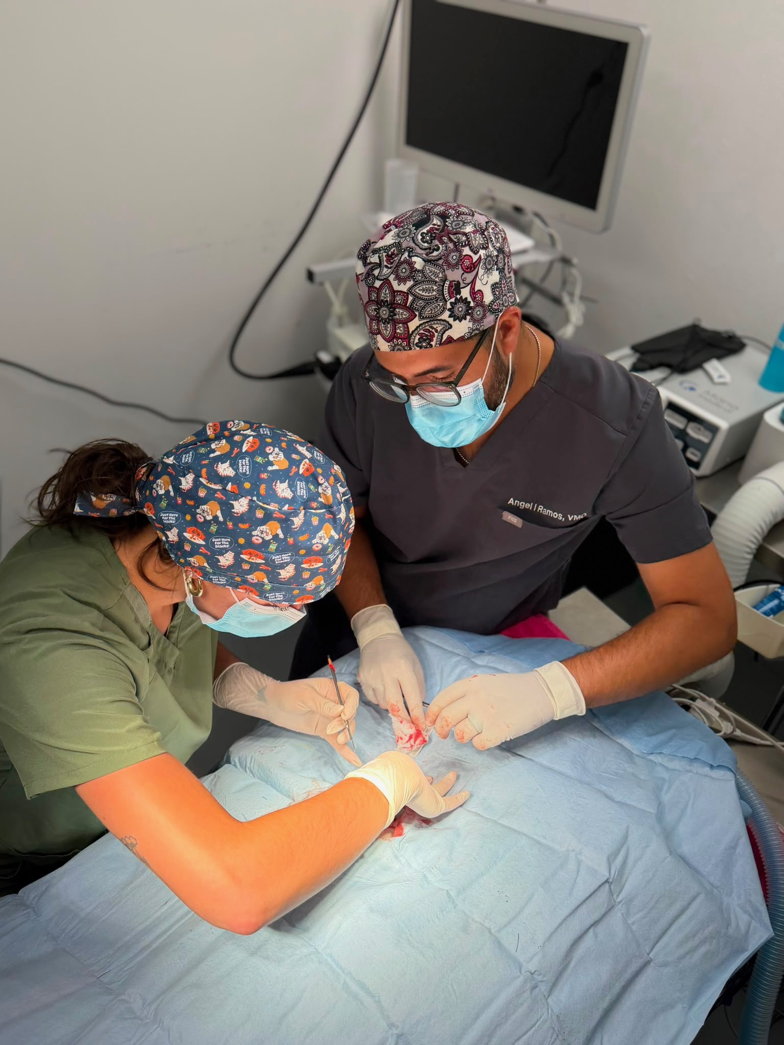 Why Veterinary Medicine Students Choose an Externship at VETS PR